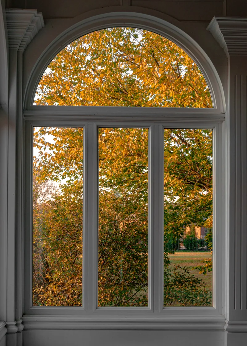 Window glass and frames catching the daylight.